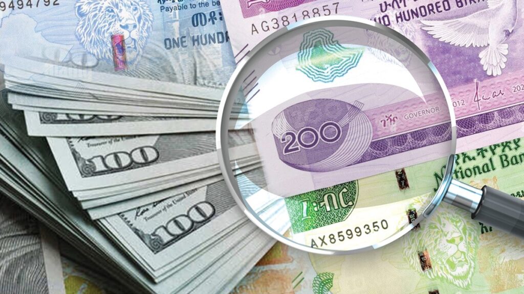 Banks Flinch, Central Bank Blinks, and the Birr&nbsp;Plunges