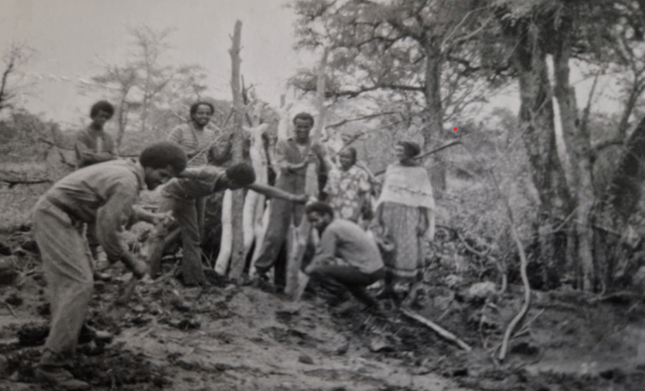 Novel Cause But Bad Planning: A Reflection on Ethiopia’s 1985 Villagization and Resettlement&nbsp;Programme